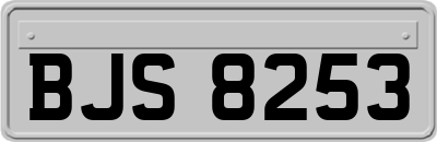 BJS8253