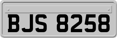 BJS8258