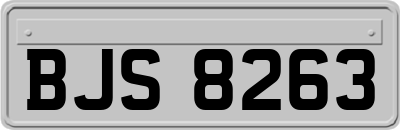 BJS8263