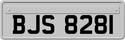 BJS8281