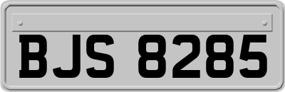 BJS8285