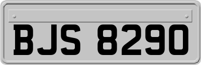 BJS8290