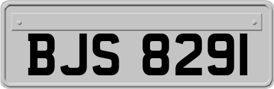 BJS8291