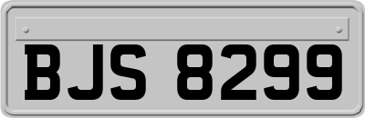 BJS8299