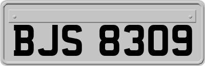 BJS8309