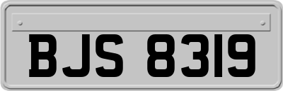 BJS8319