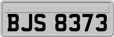 BJS8373
