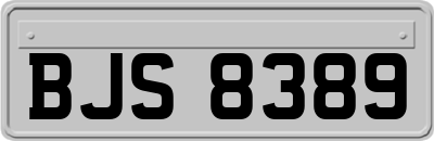 BJS8389