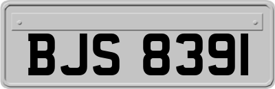 BJS8391