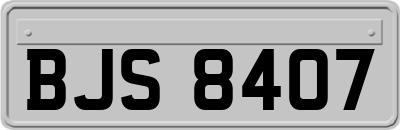 BJS8407
