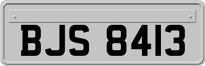 BJS8413