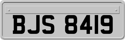 BJS8419