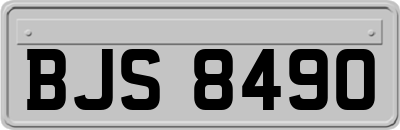 BJS8490