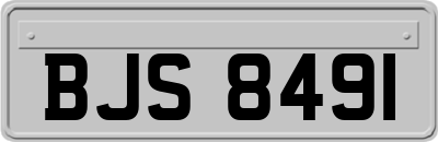 BJS8491