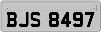 BJS8497