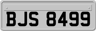 BJS8499
