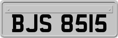 BJS8515