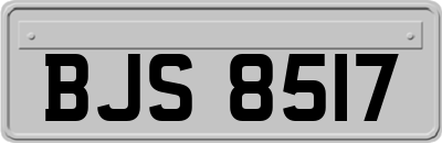 BJS8517