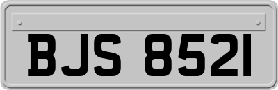 BJS8521