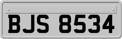 BJS8534