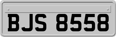 BJS8558