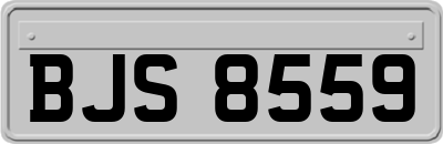 BJS8559