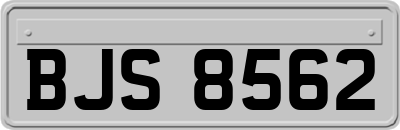 BJS8562