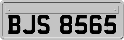 BJS8565