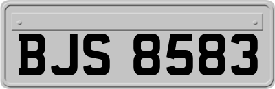 BJS8583