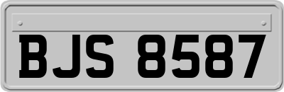BJS8587