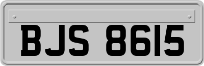 BJS8615