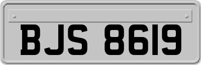 BJS8619
