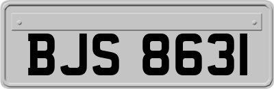 BJS8631
