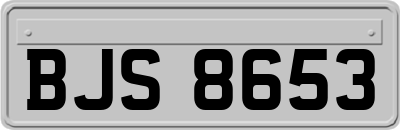 BJS8653