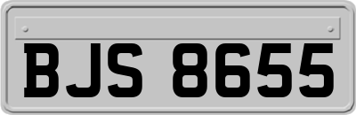 BJS8655