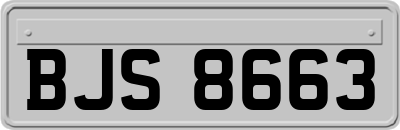 BJS8663