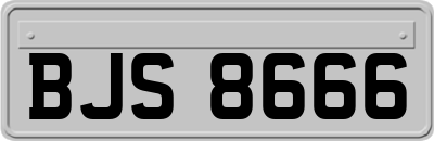 BJS8666