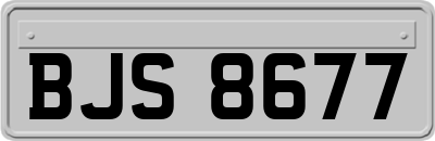 BJS8677
