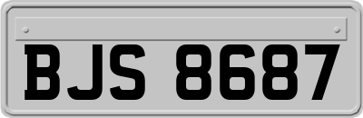 BJS8687