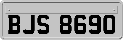 BJS8690