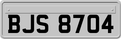 BJS8704