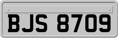 BJS8709