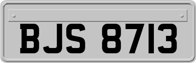 BJS8713