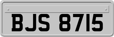 BJS8715