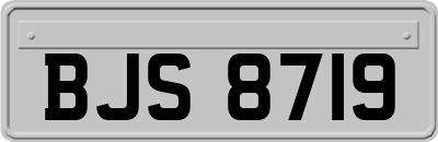 BJS8719