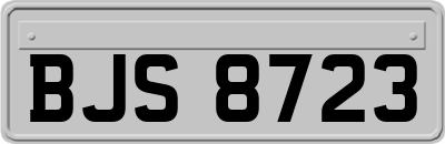 BJS8723