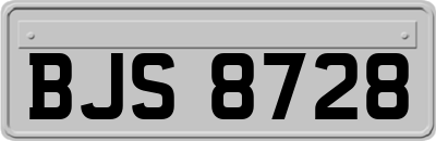 BJS8728