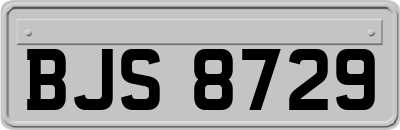 BJS8729