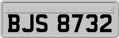 BJS8732
