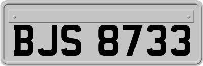 BJS8733